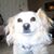 Lindsey Kenison's profile image