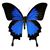 Betty Kay's profile image