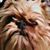 Karen Malloy's profile image