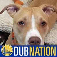 Yee Z Mon's profile image