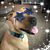 Timothy Roberts's profile image