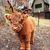 Sandra Sisti's profile image
