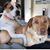 Robyn Kampf Fulton's profile image