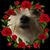 Judy T Usry's profile image