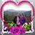 Colleen Mcneill's profile image