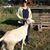 Denise Waddington Link's profile image