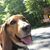 Betsy McCormack's profile image