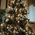 Debra Bartnicki's profile image