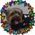 Pamela Taylor's profile image