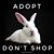 Julie Phillips Martindale's profile image