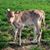Allison V Parke's profile image