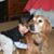 Ashley Kilgor's profile image