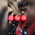 Nico Martinez's profile image