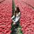 Jenavieve Gerring's profile image