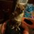Bethany Adkins's profile image