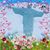 Amilson Barbosa's profile image