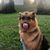Jeff Hutter's profile image