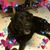 Elyse Andresen Carr's profile image