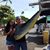 Dale Gina Lohman's profile image