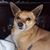 Hazel Goff Ray Goff Jr.'s profile image