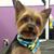 Cathie Swift's profile image