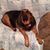 Patty Morris Speas's profile image