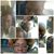 Elizabeth Jones's profile image