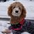 Nancy Munson's profile image