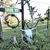 Denise Diehl Grube's profile image