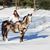 Sherry Lindsey Miller's profile image