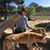 Loretta Shaw's profile image