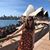 Airlie Davies's profile image