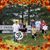 Pam Bierly Jusino's profile image