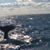 Debra Van Dyke's profile image