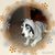 Pamela Valdez Sanchez's profile image