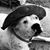 Stephen McGloin's profile image