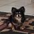 Lolita MaGoo's profile image