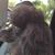 Annmarie Merlino's profile image