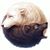 Terri Gates's profile image