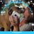 Dawn Alexander's profile image