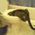 Holly Arvold's profile image