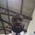DeLonte' Briggs's profile image
