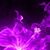 Makayla Sellars's profile image