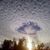 Margaret Danzer's profile image