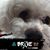 Melissa Joy Rice's profile image