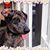 Mellissa Thornton Egender's profile image