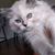 Meghan Fiene's profile image