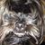 Mike Shaw's profile image
