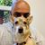 John P. Curry's profile image
