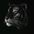 Geri Vlore's profile image